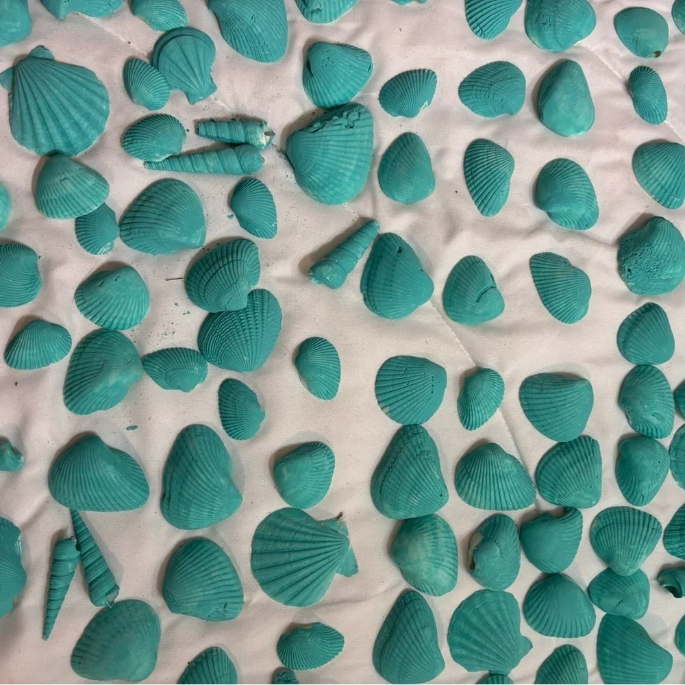 161 Aqua Teal Painted Real Seashells For Decorating Or Center Pieces